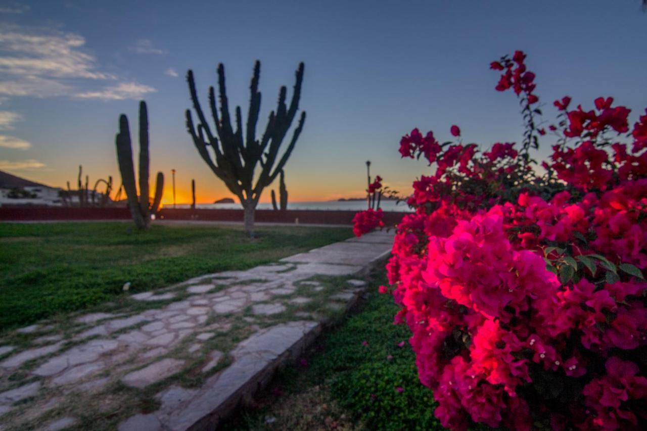 Hotel Playa De Cortes グアイマス エクステリア 写真